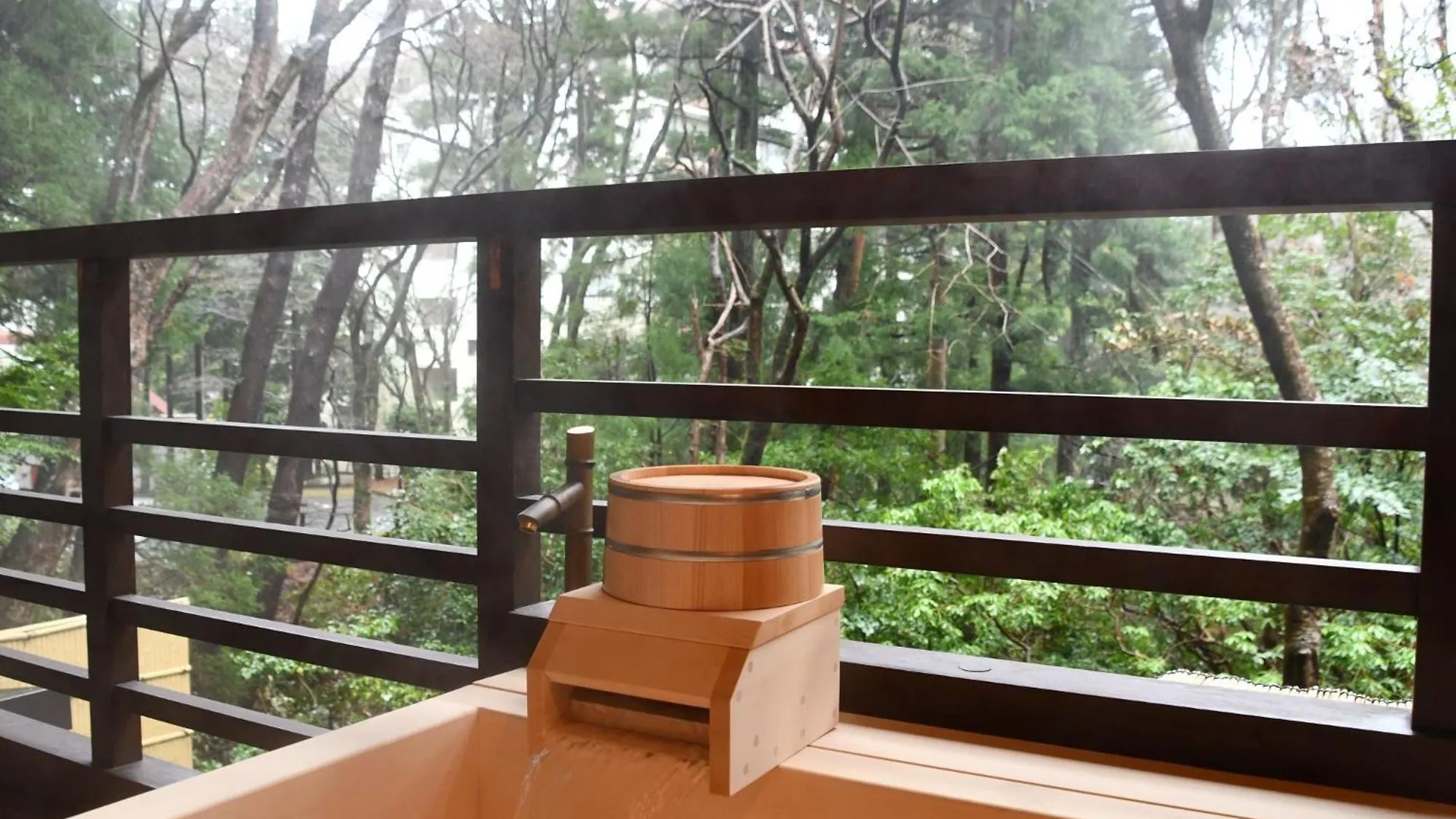 Hotel Mizunoto Hakone
